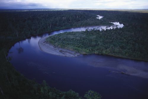 Aerial view of the Becking River, with the late afternoon reflection of the sky making the shallow muddy river appear blue. The Becking is the boundary between the Korowai and the Kombai, their neighbors to the East.